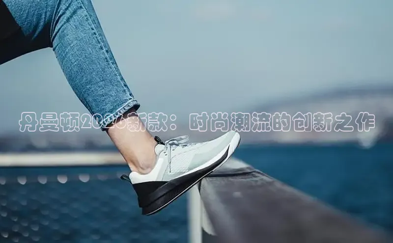 丹曼顿2026新款：时尚潮流的创新之作